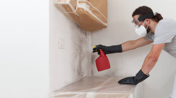 Professional Black Mold Remediation technician working in Cedar Grove, NC