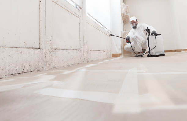 24/7 Emergency Black Mold Remediation experts in Cedar Grove, NC