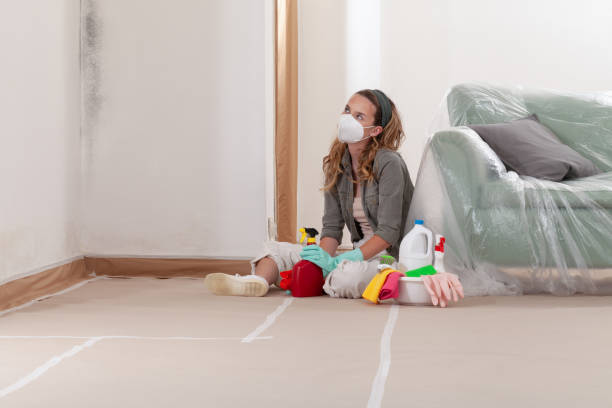 Reliable Black Mold Remediation contractor in Cedar Grove, NC by Car Mold Remediation